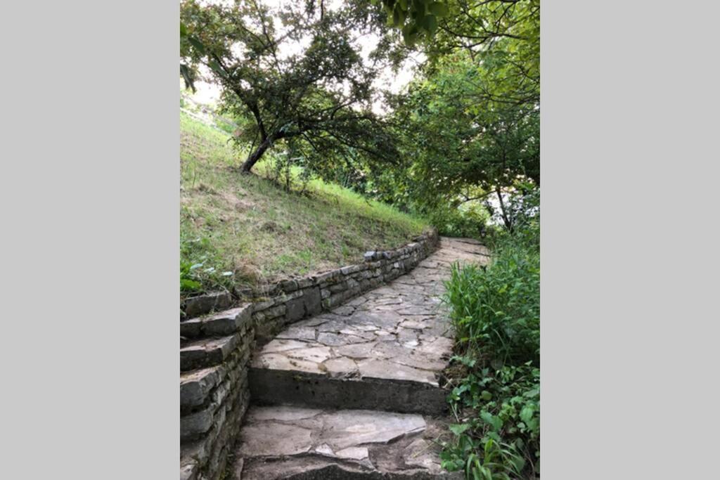 Villa Kornelija Stari Slankamen Bagian luar foto