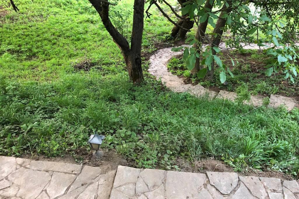 Villa Kornelija Stari Slankamen Bagian luar foto