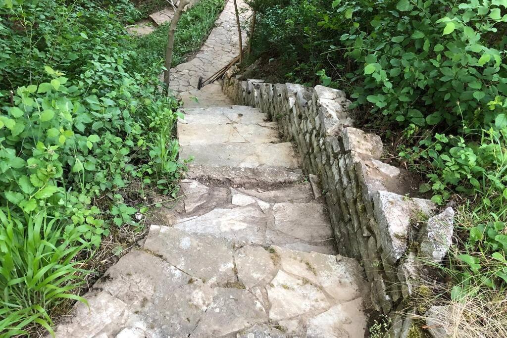 Villa Kornelija Stari Slankamen Bagian luar foto
