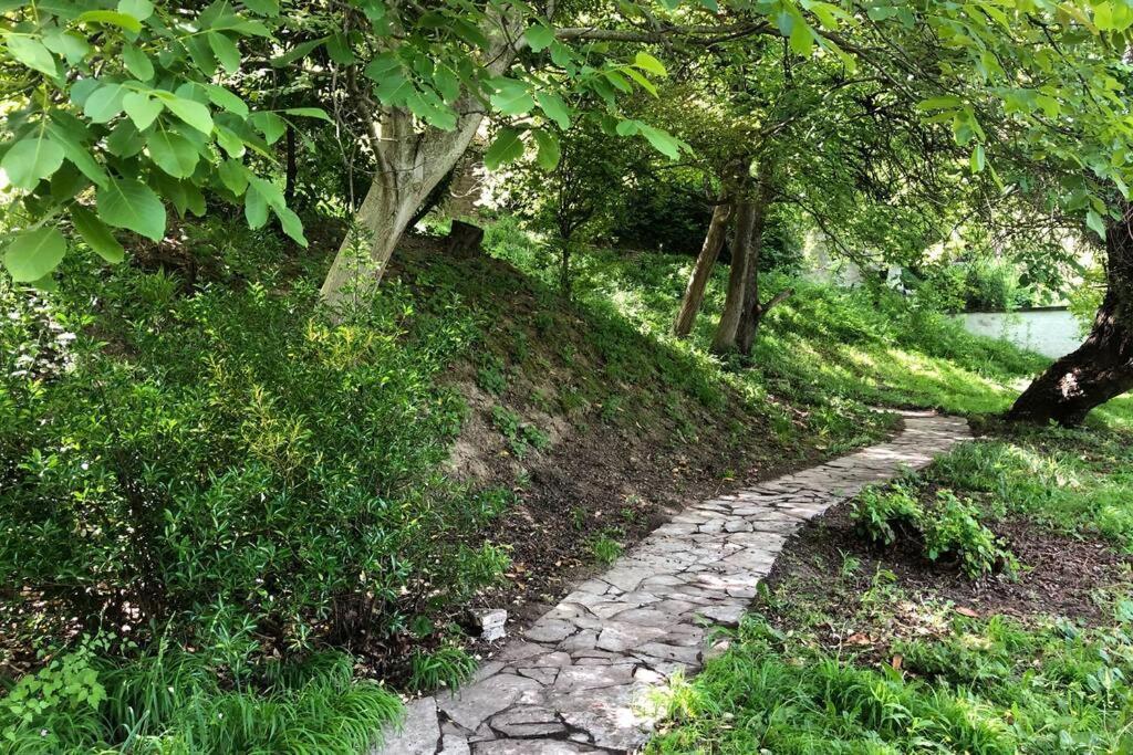 Villa Kornelija Stari Slankamen Bagian luar foto