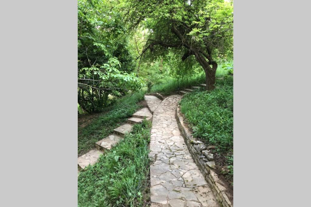 Villa Kornelija Stari Slankamen Bagian luar foto