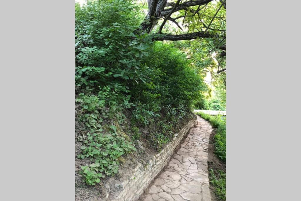 Villa Kornelija Stari Slankamen Bagian luar foto