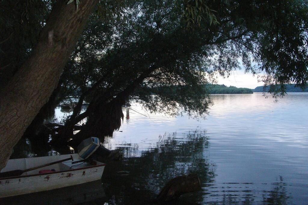 Villa Kornelija Stari Slankamen Bagian luar foto